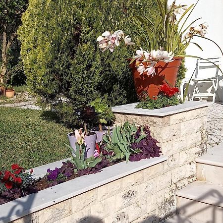 Telesico Residencia Otel Pombal  Dış mekan fotoğraf