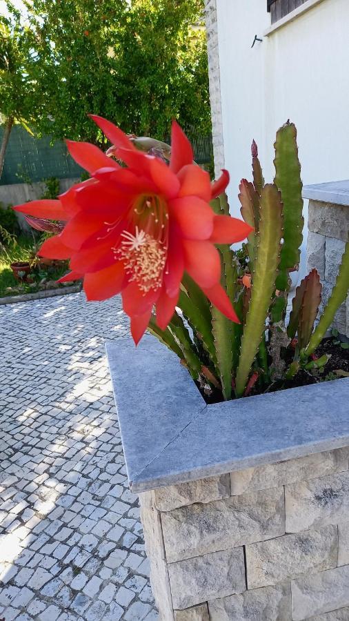 Telesico Residencia Otel Pombal  Dış mekan fotoğraf