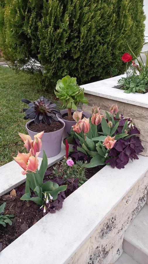 Telesico Residencia Otel Pombal  Dış mekan fotoğraf