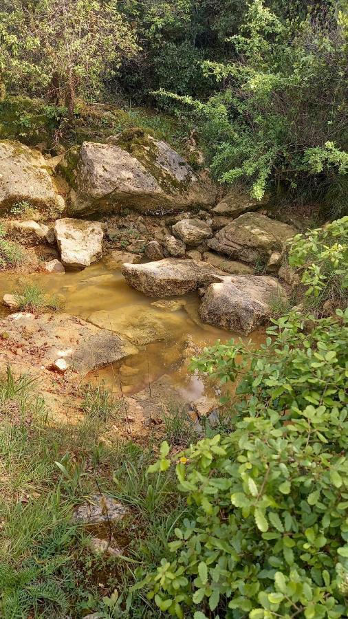 Telesico Residencia Otel Pombal  Dış mekan fotoğraf