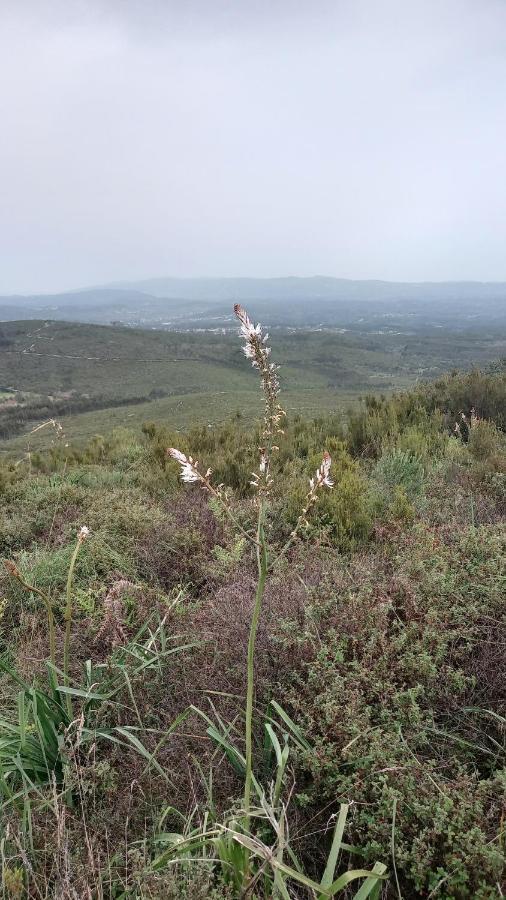 Telesico Residencia Otel Pombal  Dış mekan fotoğraf